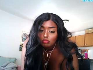 siminfox webcam model stream image