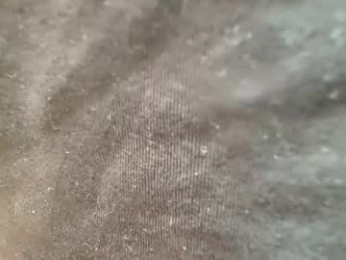 squikt webcam model stream image