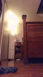 alethedog_sexy webcam model stream image