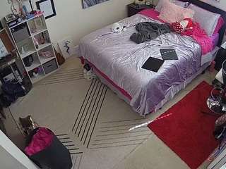 voyeurcam-hornyhostel-01 webcam model stream image