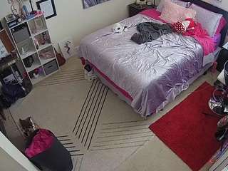 voyeurcam-hornyhostel-01 webcam model stream image