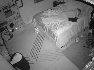 voyeurcam-hornyhostel-01 webcam model stream image