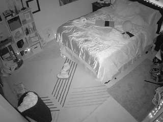 voyeurcam-hornyhostel-01 webcam model stream image