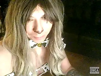 s0ft-s3rv webcam model stream image