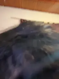 G_Poseidon_y_Cloe webcam model stream image