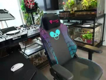 pierrefitch webcam model stream image