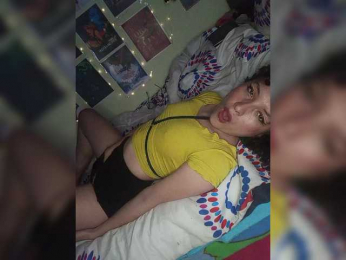 Amapols webcam model stream image