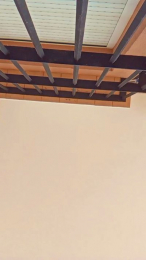 Davidiban webcam model stream image