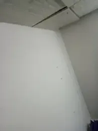 Joeyyyy455 webcam model stream image