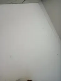 Joeyyyy455 webcam model stream image