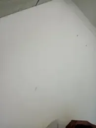 Joeyyyy455 webcam model stream image