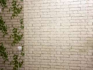 antonettekolsrud webcam model stream image