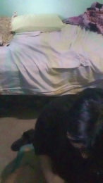 ARADIAatuhada webcam model stream image