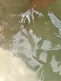 wildestatecouple webcam stripchat model stream image