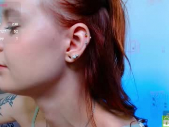 an_ross webcam model stream image