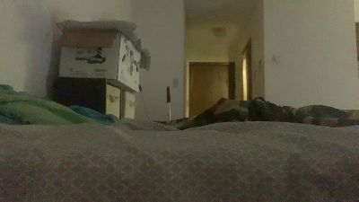 Bakedplayboy420 webcam model stream image