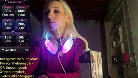 thebunnydark webcam model stream image