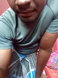 dolphiinn webcam model stream image