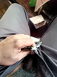 dolphiinn webcam model stream image