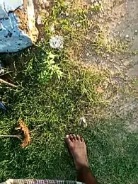 dolphiinn webcam model stream image