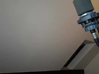 tomtimon11 webcam model stream image