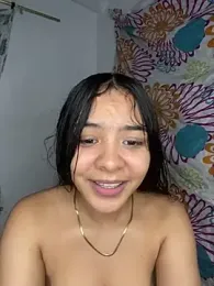 STITCHyLILO webcam model stream image