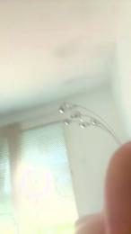 Asiianslut webcam cam4 model stream image