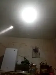 Bebicho14 webcam model stream image