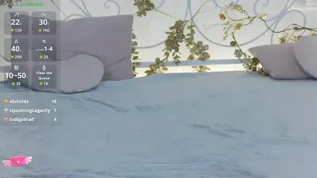 KarnetJ webcam model stream image