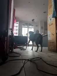 Eimikuro11 webcam model stream image