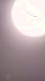 manuel8095 webcam model stream image