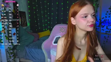 WeiSusi webcam model stream image