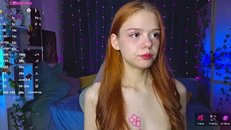WeiSusi webcam model stream image