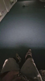 Polpex webcam model stream image