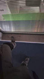 Polpex webcam model stream image