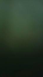 laura2062 webcam model stream image