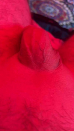 Pinocchio21c webcam model stream image