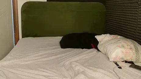 xxhornylove webcam stripchat model stream image