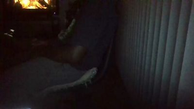 Silkworm_Piper webcam model stream image