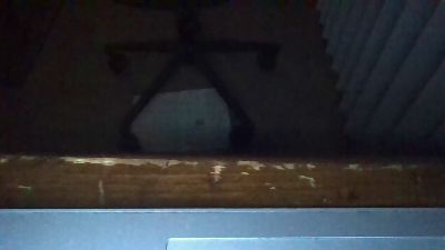 Silkworm_Piper webcam model stream image