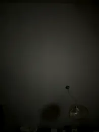 Wet-Pussycat webcam model stream image