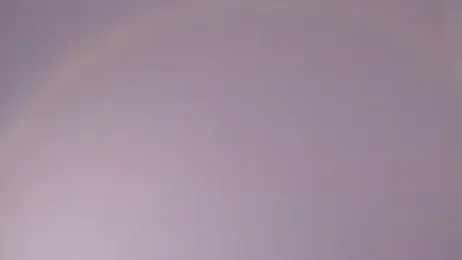 Sophia_Cambpell webcam stripchat model stream image