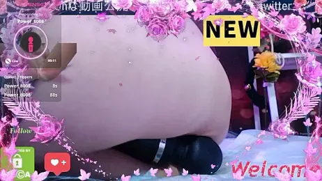 __SAYO__ webcam model stream image