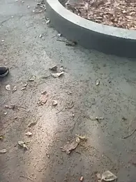 andresj22hot webcam stripchat model stream image