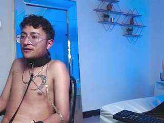 heatwavwharmony webcam model stream image