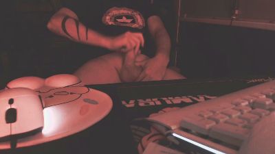 Fontainebleau webcam model stream image