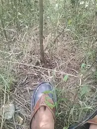 Aadityaaa07 webcam stripchat model stream image