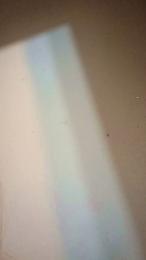 Fuxkmesuckmecum webcam model stream image