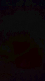 Ercolinoo webcam model stream image