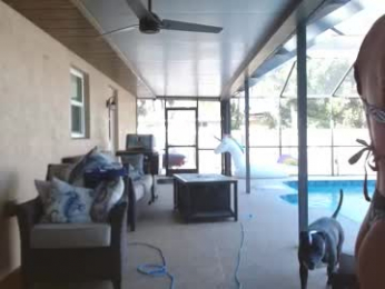 dazeydo webcam model stream image